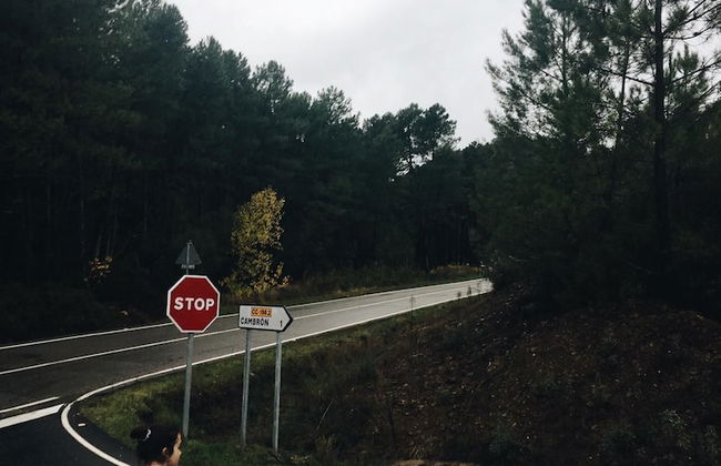 Apartamento Prunus Avium - Foto 22