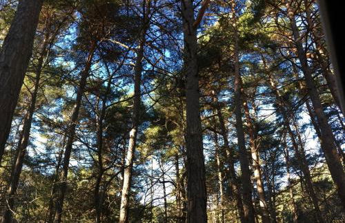 Lovers' Nest - Unità 1 - Foto 31