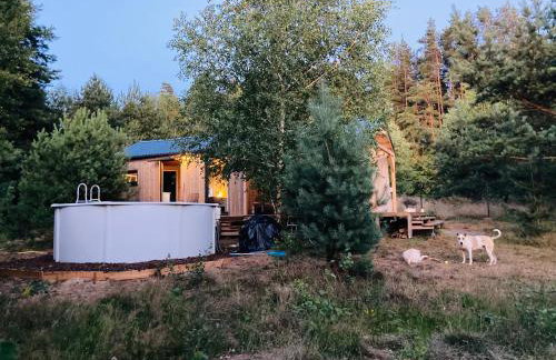 Przystanek Naglady Warmia- całoroczny, duża leśna działka - Foto 31