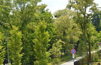 Almi Apartment, Villa Moderno z podziemnym bezpłatnym parkingiem - Foto 34