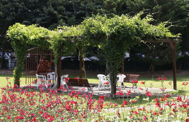 Xon's Platja ApartHotel - Foto 45