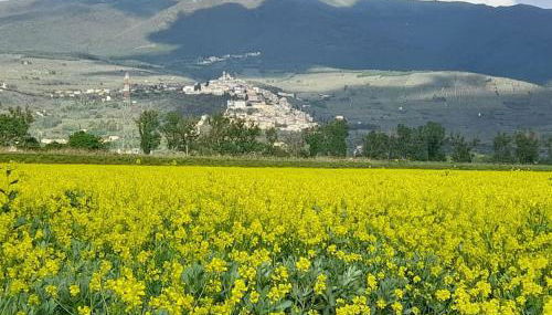 Una casa nel grano: Casa Luciola - Foto 5