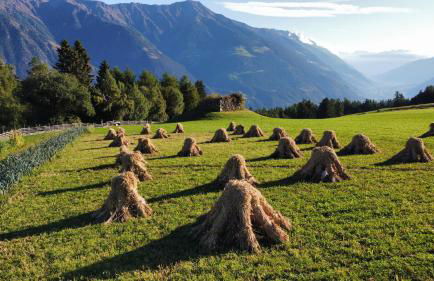 Bio-Bauernhof Mairinghof-Paris - Foto 26