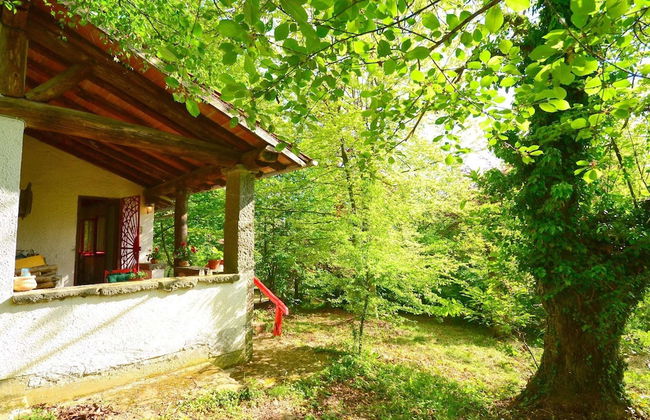 Vintage Vacation Home - Photo 33