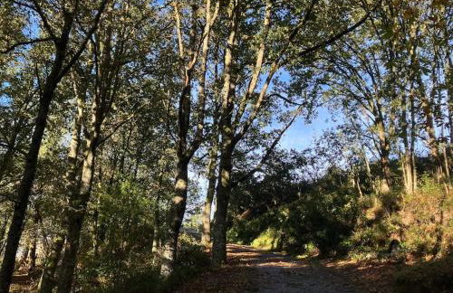 A Casa da Fonte - Foto 26