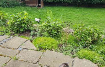 Souterrainwohnung im Grünen - Foto 50