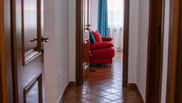 Paloma nel bosco - Foto 5