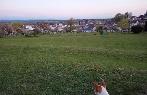 Ferienwohnung Dreher - Foto 13