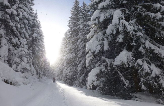 Alpine Apartment With Stunning Views - Foto 18