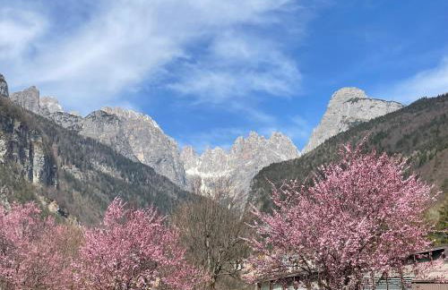 Casa Gnomi - Foto 44