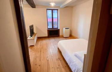 Appartement de 50m2 au centre de Cusset - Foto 8