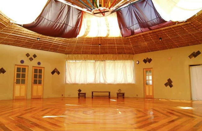 Cerimonia dell’ayahuasca a La Paz - Foto 4