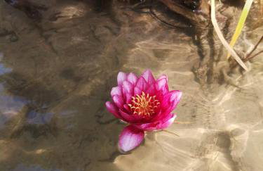 Stodoła naturalnie - wyjątkowy dom z balią na Kaszubach nad jeziorem - Foto 66