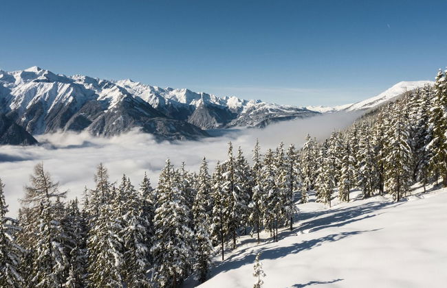 Chalet in Neukirchen by Wildkogel Ski Slopes - Photo 30