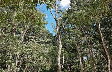 Ferienhaus am See Goch Kessel - Foto 37