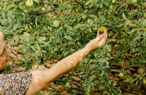 Casa das Nogueiras - Foto 72