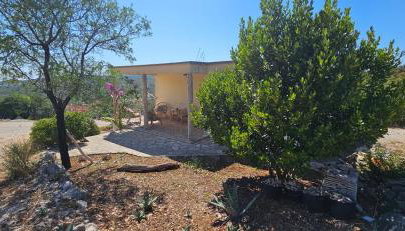 Vila Propuh Primošten - Foto 3, Garden, Garden view