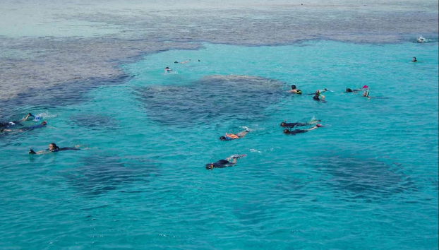 Vista aerea sull'isola di Tiran