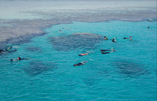 Excursão de barco e snorkel na Ilha Tiran - Foto 4