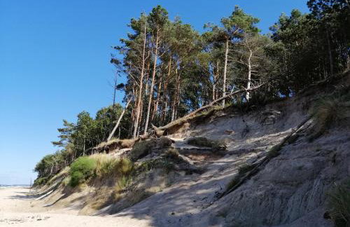 Słoneczne Chatki - Foto 21