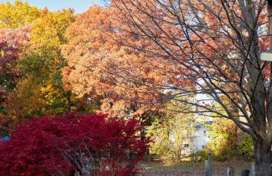 Air Vermont Apartment - Foto 6