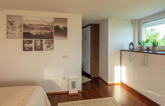 Vineyard cottage Jelenov hrib - Foto 5