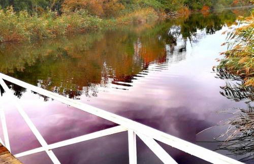 Appartement au bord de mer - Foto 18