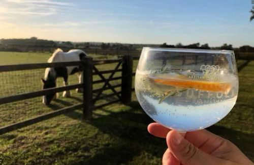 Near Woodbridge The Annexe Eyke Fantastic views with Dog secure Garden and Paddock - Foto 27