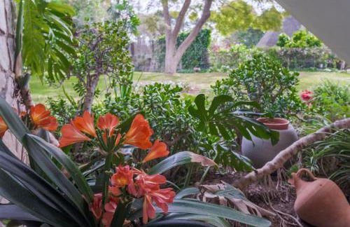 Casa Teresa - Foto 9