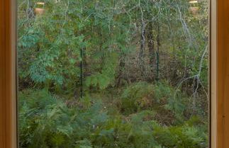 Zen Sasino - Foto 32