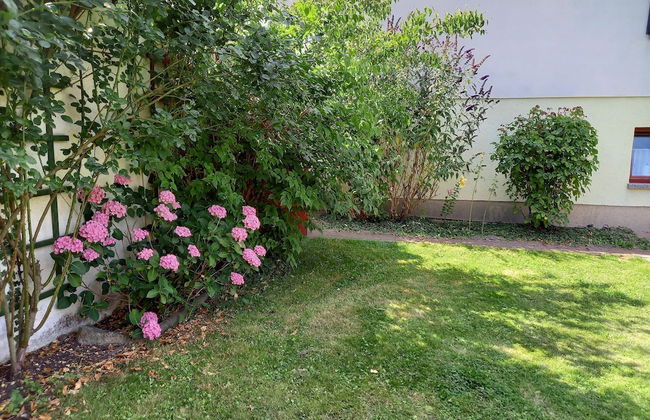 Wohnung in Alt Bukow mit Garten - Foto 35