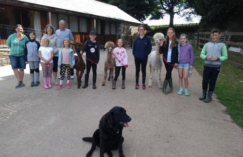 Fentrigan Manor Farm & Holiday Cottages - Foto 66