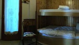 Anemone rosso - Foto 5