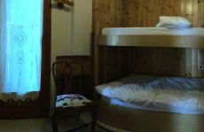 Anemone rosso - Foto 5