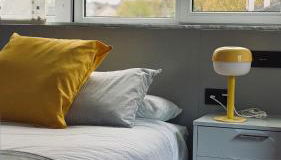 O Argalleiro - Foto 5