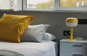 O Argalleiro - Foto 5