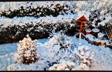 Ferienwohnung Brohltal-Aue - Foto 45