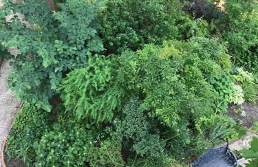 Pension Villa Fortuna - Foto 11