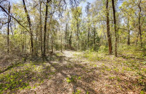 Peaceful Pomona Park Home 1 Mi to Lake Broward! - Foto 24