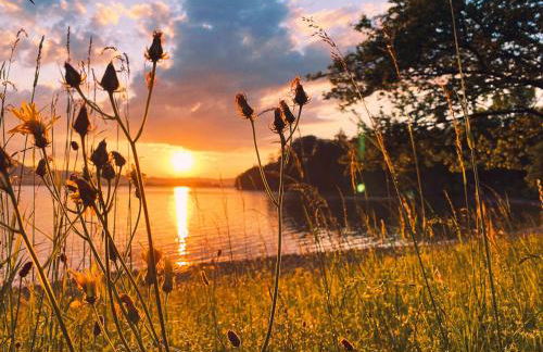 Individuelles Kreativ-Apartment direkt am Kochelsee - Foto 17