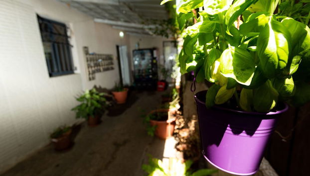 Entrada (vista interior)