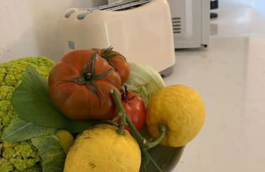 Terry house - Foto 14