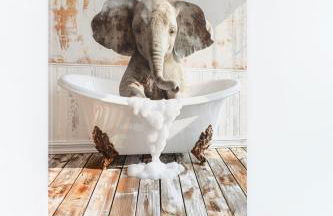 Ferienwohnung Landleben am Meer - Foto 55