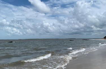 Sertão beach - Photo 13