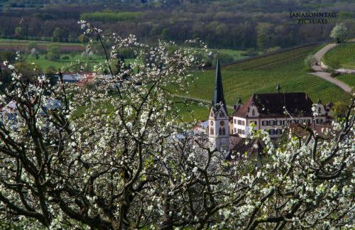 Apartment Schneeburg - Photo 22