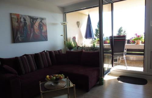 Komfortable Wohnungen und Studio in Sankt Englmar - Foto 12