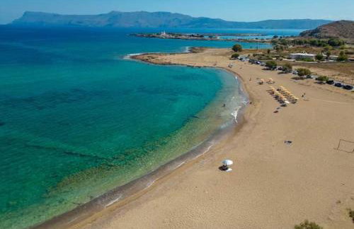 Cornelia Hippie Magic Bus - Foto 64