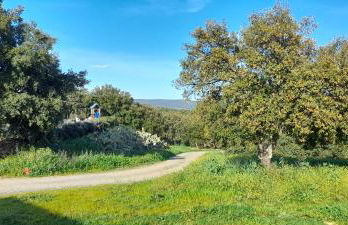 Casa Rural Puerto Cabero - Foto 33