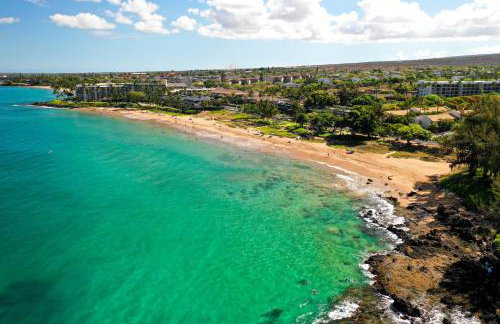 CampCar Maui Jeeps SUVs Hybrid Camper van Rentals with equipment and Travel Advice - Foto 8