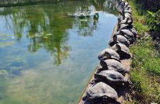 OASI - Vaticano 3Clima Netflix Wi-Fi Parking Garden - Foto 44